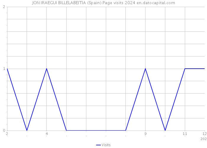 JON IRAEGUI BILLELABEITIA (Spain) Page visits 2024 