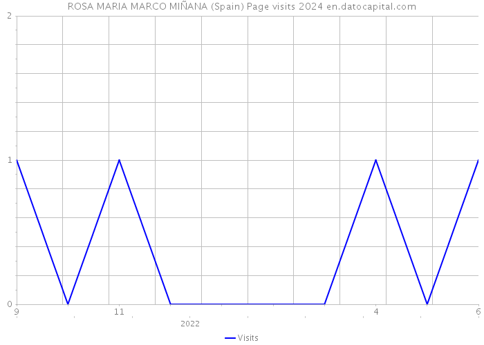 ROSA MARIA MARCO MIÑANA (Spain) Page visits 2024 