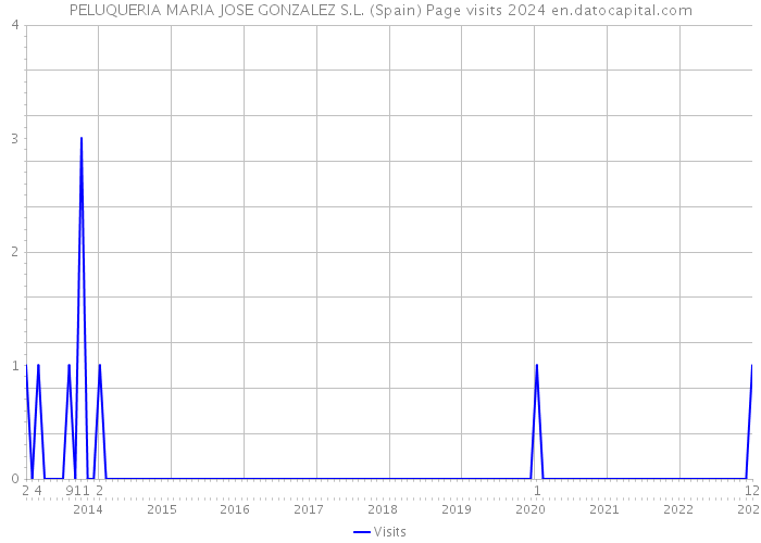 PELUQUERIA MARIA JOSE GONZALEZ S.L. (Spain) Page visits 2024 