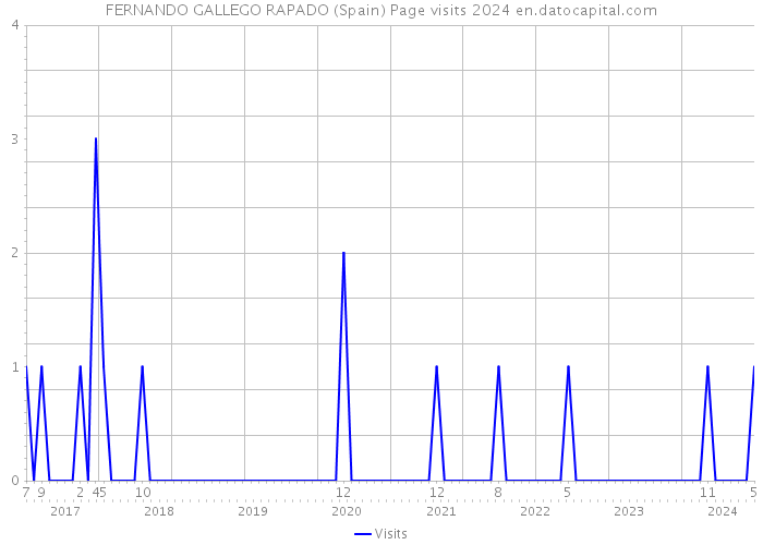 FERNANDO GALLEGO RAPADO (Spain) Page visits 2024 