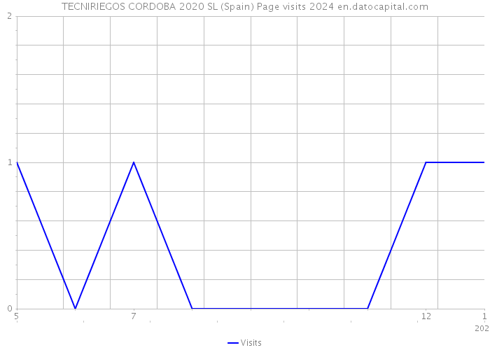 TECNIRIEGOS CORDOBA 2020 SL (Spain) Page visits 2024 