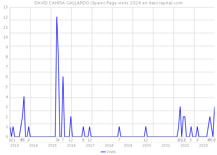 DAVID CAHISA GALLARDO (Spain) Page visits 2024 