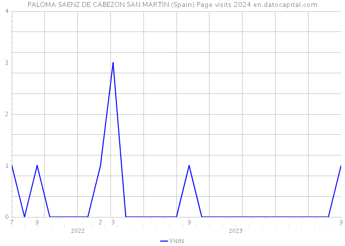 PALOMA SAENZ DE CABEZON SAN MARTIN (Spain) Page visits 2024 