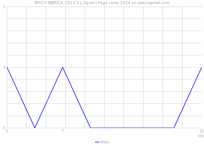 BRICO IBERICA 2019 S.L (Spain) Page visits 2024 