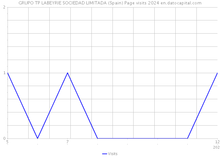 GRUPO TP LABEYRIE SOCIEDAD LIMITADA (Spain) Page visits 2024 