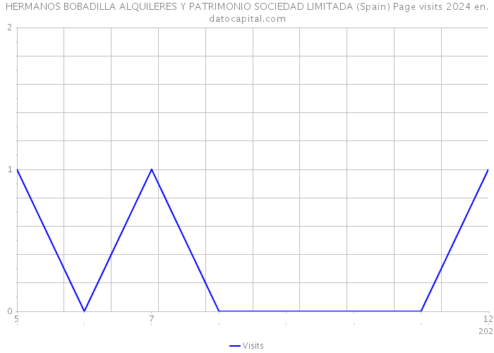 HERMANOS BOBADILLA ALQUILERES Y PATRIMONIO SOCIEDAD LIMITADA (Spain) Page visits 2024 