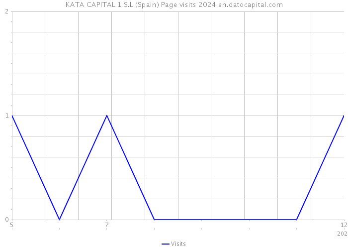 KATA CAPITAL 1 S.L (Spain) Page visits 2024 