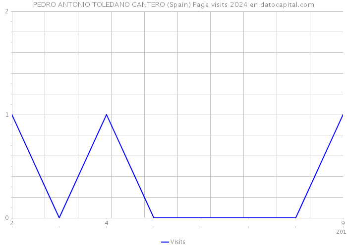 PEDRO ANTONIO TOLEDANO CANTERO (Spain) Page visits 2024 