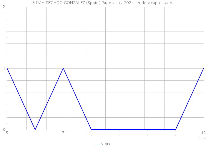 SILVIA SEGADO GONZALEZ (Spain) Page visits 2024 