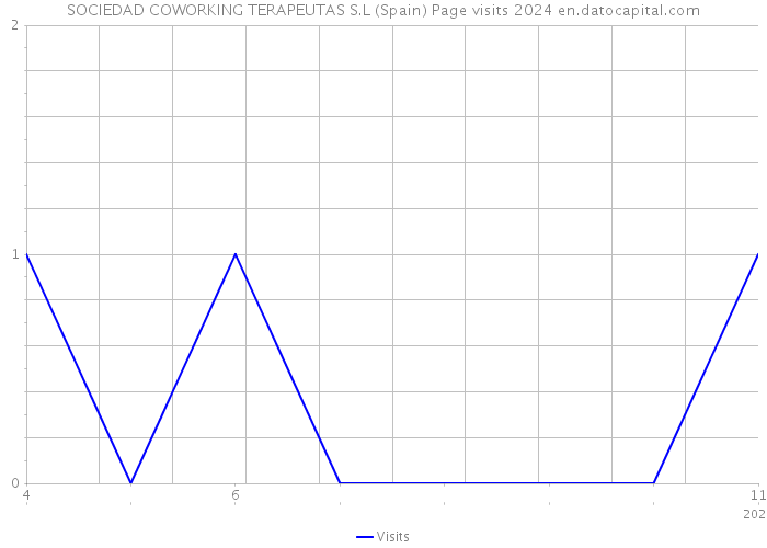 SOCIEDAD COWORKING TERAPEUTAS S.L (Spain) Page visits 2024 