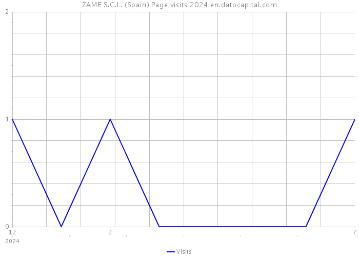ZAME S.C.L. (Spain) Page visits 2024 