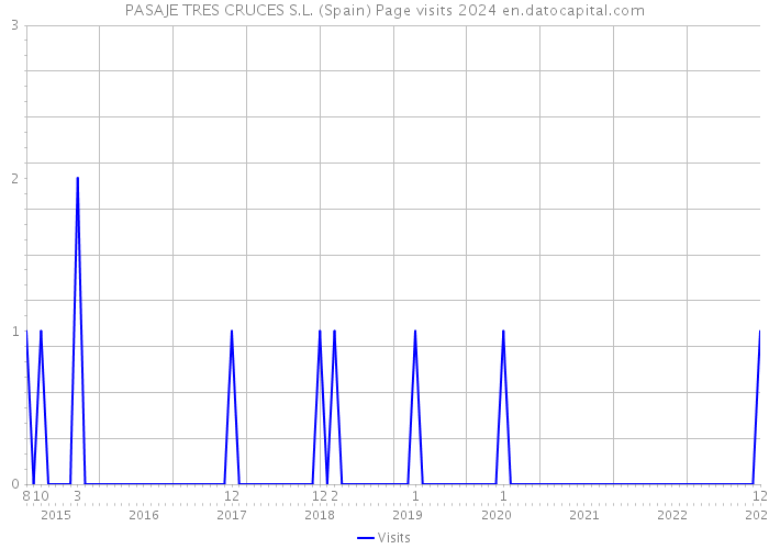 PASAJE TRES CRUCES S.L. (Spain) Page visits 2024 
