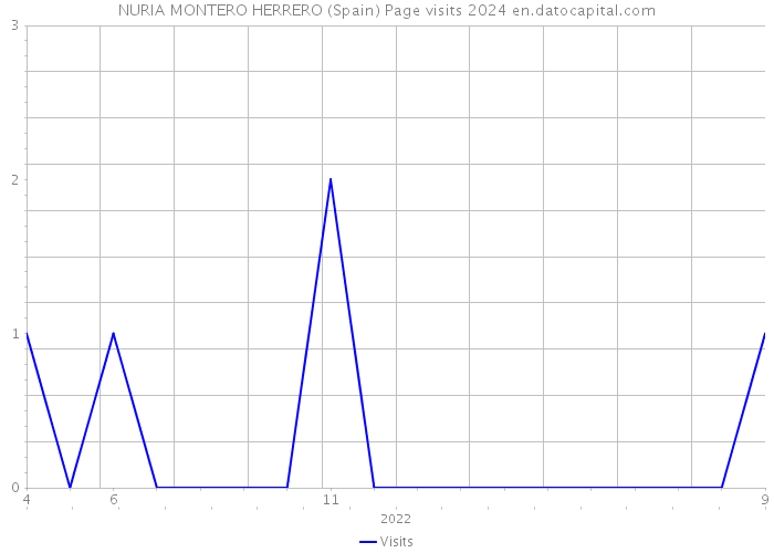 NURIA MONTERO HERRERO (Spain) Page visits 2024 