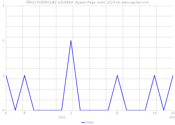 IÑIGO RODRIGUEZ LIZUNDIA (Spain) Page visits 2024 