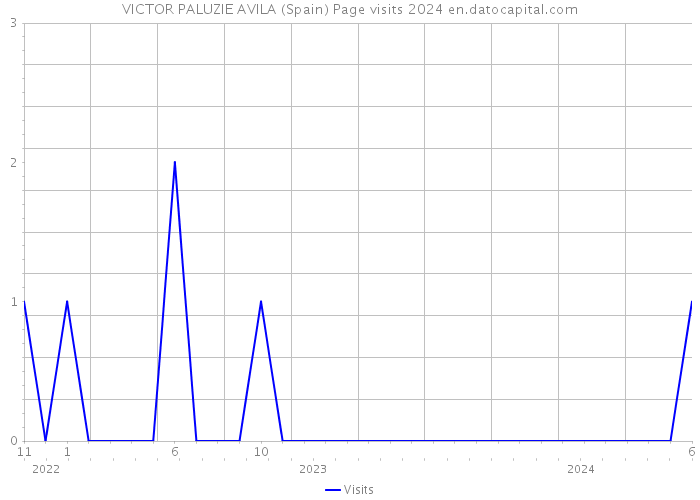 VICTOR PALUZIE AVILA (Spain) Page visits 2024 