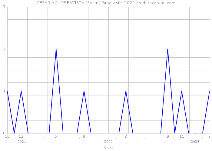 CESAR AGUYE BATISTA (Spain) Page visits 2024 