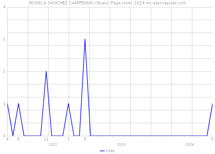 MONICA SANCHEZ CAMPESINO (Spain) Page visits 2024 
