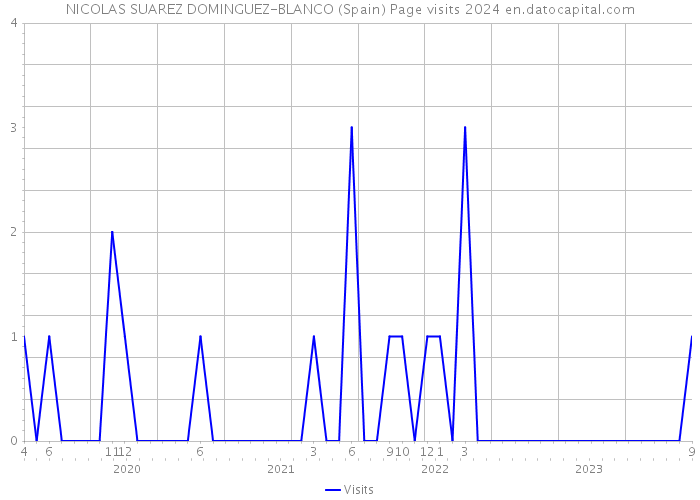 NICOLAS SUAREZ DOMINGUEZ-BLANCO (Spain) Page visits 2024 