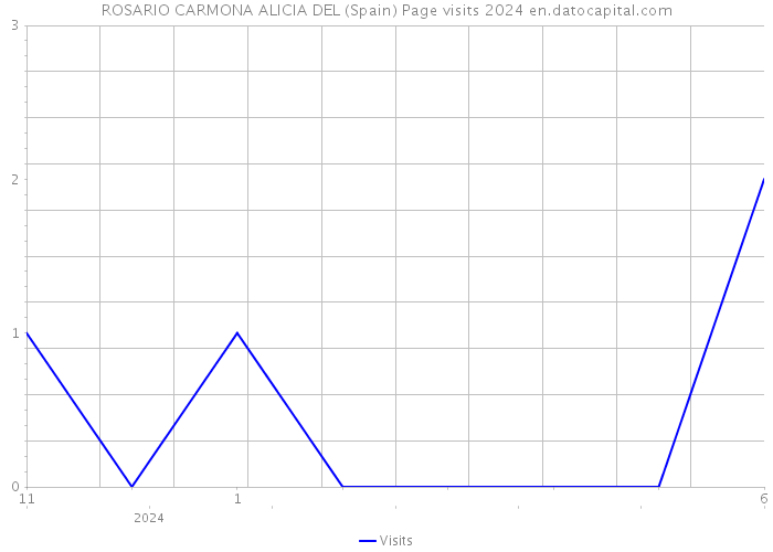 ROSARIO CARMONA ALICIA DEL (Spain) Page visits 2024 