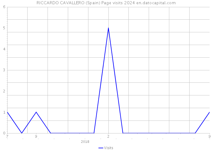 RICCARDO CAVALLERO (Spain) Page visits 2024 