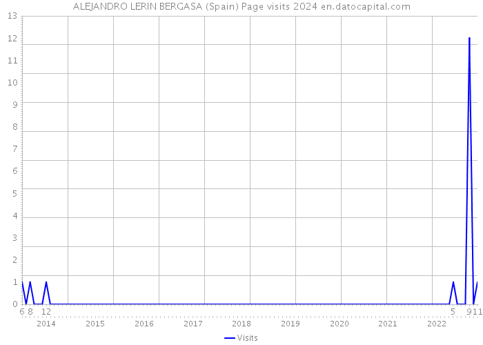 ALEJANDRO LERIN BERGASA (Spain) Page visits 2024 