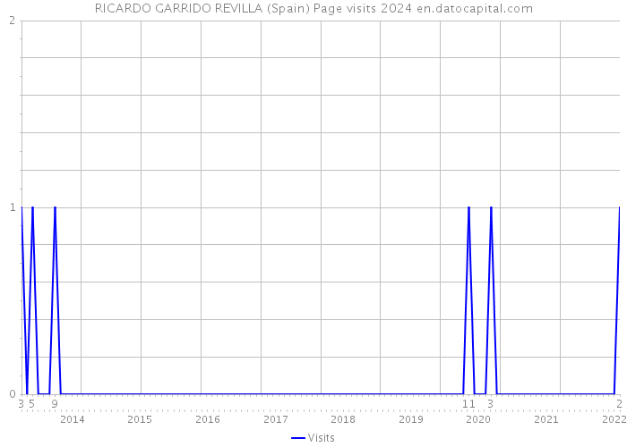 RICARDO GARRIDO REVILLA (Spain) Page visits 2024 