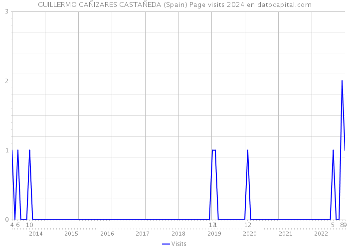 GUILLERMO CAÑIZARES CASTAÑEDA (Spain) Page visits 2024 