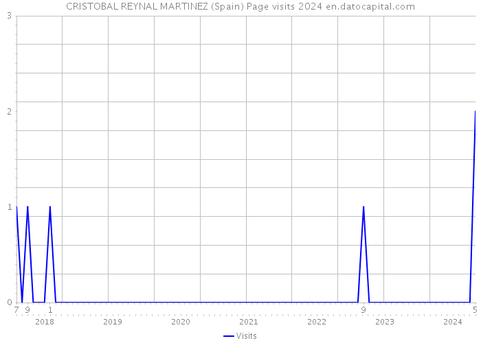 CRISTOBAL REYNAL MARTINEZ (Spain) Page visits 2024 