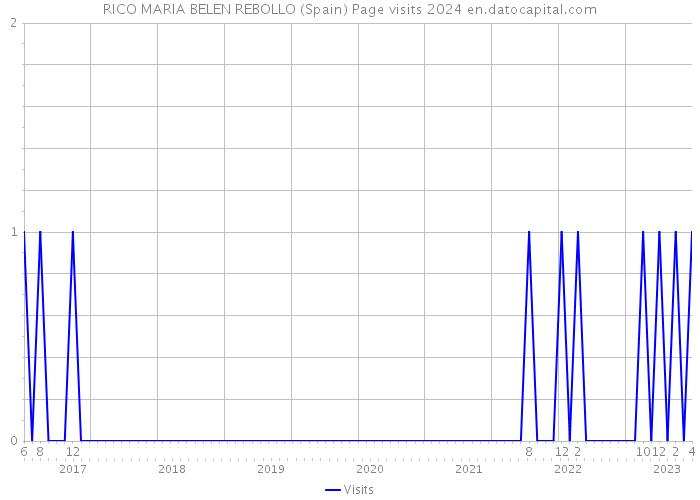 RICO MARIA BELEN REBOLLO (Spain) Page visits 2024 