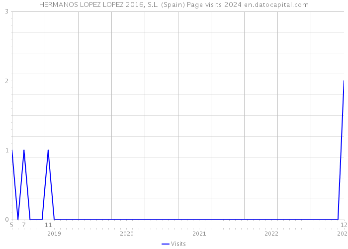 HERMANOS LOPEZ LOPEZ 2016, S.L. (Spain) Page visits 2024 