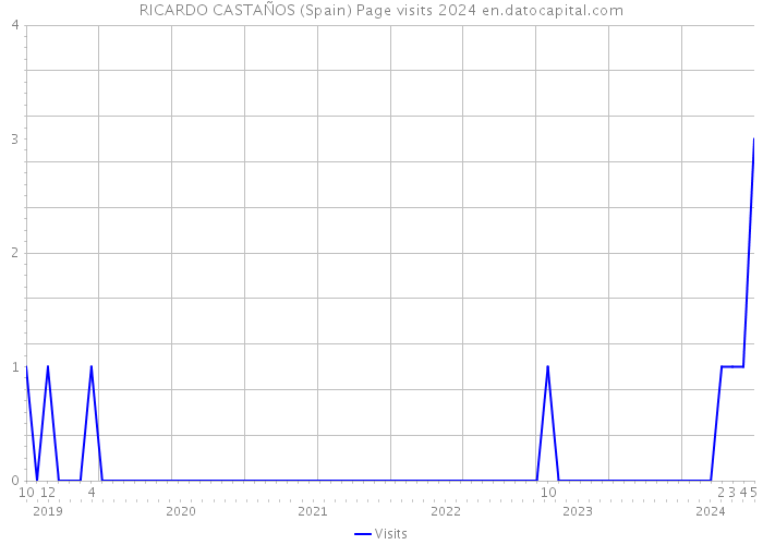 RICARDO CASTAÑOS (Spain) Page visits 2024 