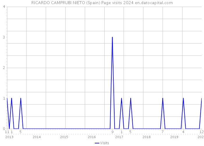 RICARDO CAMPRUBI NIETO (Spain) Page visits 2024 