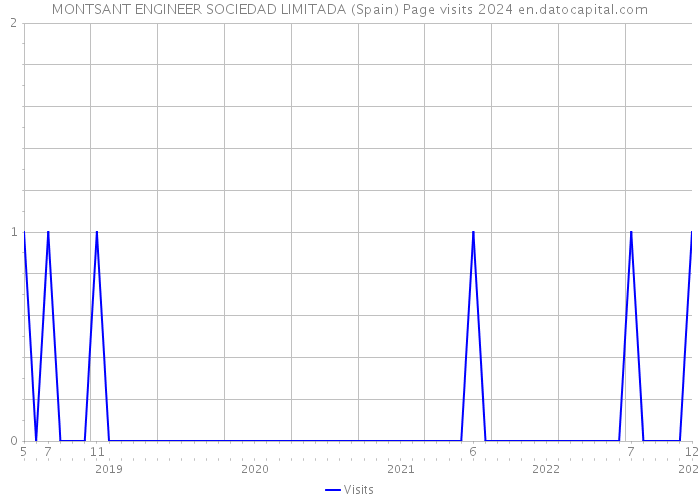 MONTSANT ENGINEER SOCIEDAD LIMITADA (Spain) Page visits 2024 