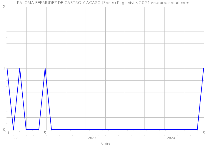 PALOMA BERMUDEZ DE CASTRO Y ACASO (Spain) Page visits 2024 