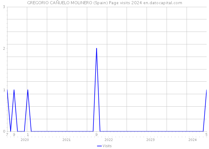 GREGORIO CAÑUELO MOLINERO (Spain) Page visits 2024 