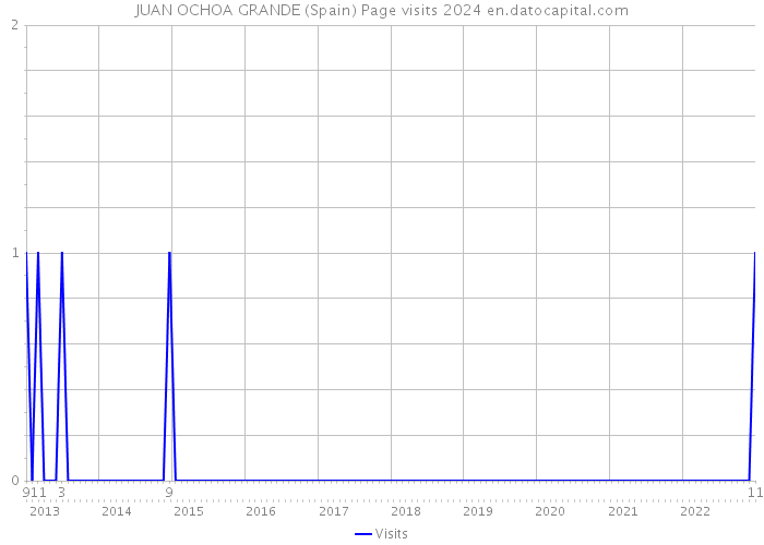 JUAN OCHOA GRANDE (Spain) Page visits 2024 