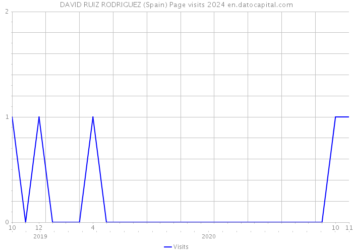 DAVID RUIZ RODRIGUEZ (Spain) Page visits 2024 