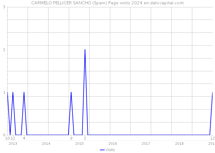 CARMELO PELLICER SANCHO (Spain) Page visits 2024 