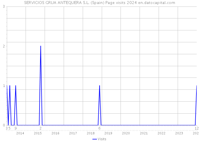SERVICIOS GRUA ANTEQUERA S.L. (Spain) Page visits 2024 