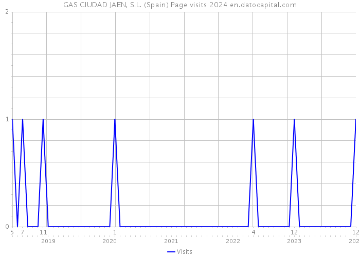 GAS CIUDAD JAEN, S.L. (Spain) Page visits 2024 