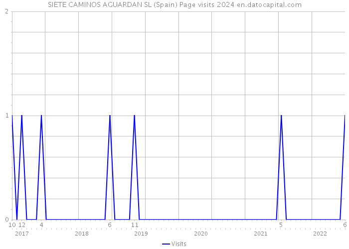 SIETE CAMINOS AGUARDAN SL (Spain) Page visits 2024 