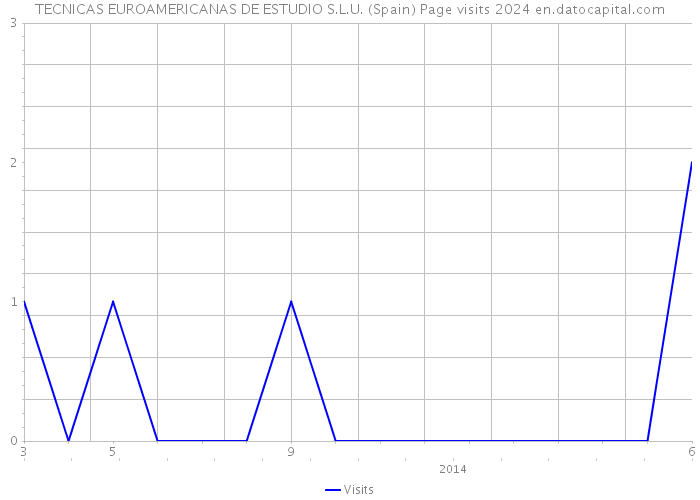 TECNICAS EUROAMERICANAS DE ESTUDIO S.L.U. (Spain) Page visits 2024 