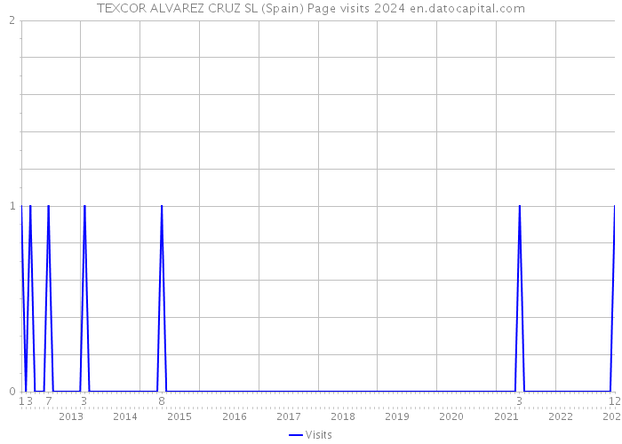 TEXCOR ALVAREZ CRUZ SL (Spain) Page visits 2024 