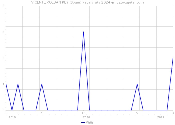 VICENTE ROLDAN REY (Spain) Page visits 2024 