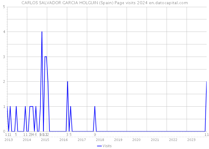 CARLOS SALVADOR GARCIA HOLGUIN (Spain) Page visits 2024 