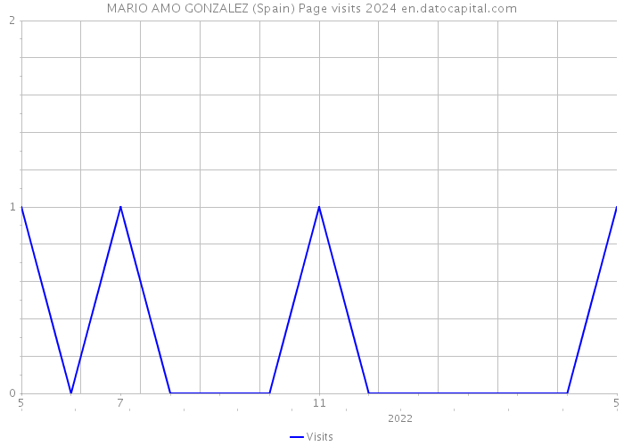 MARIO AMO GONZALEZ (Spain) Page visits 2024 