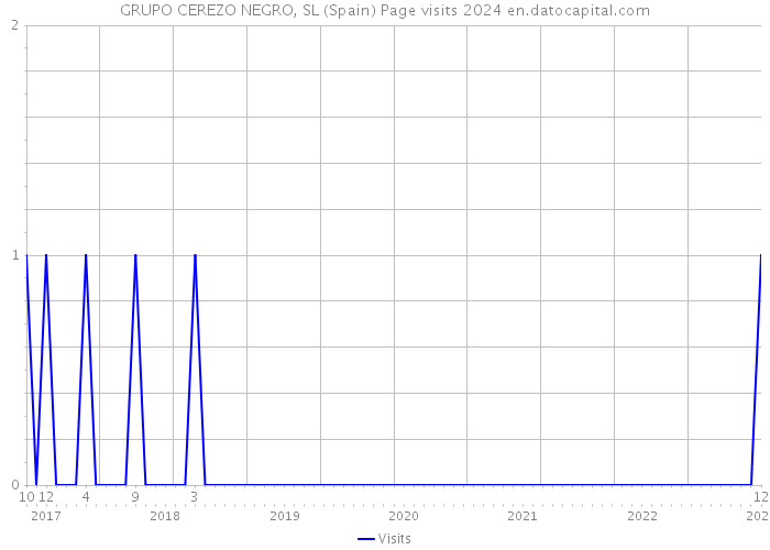 GRUPO CEREZO NEGRO, SL (Spain) Page visits 2024 