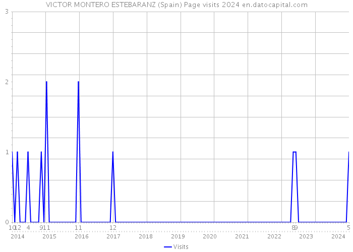 VICTOR MONTERO ESTEBARANZ (Spain) Page visits 2024 