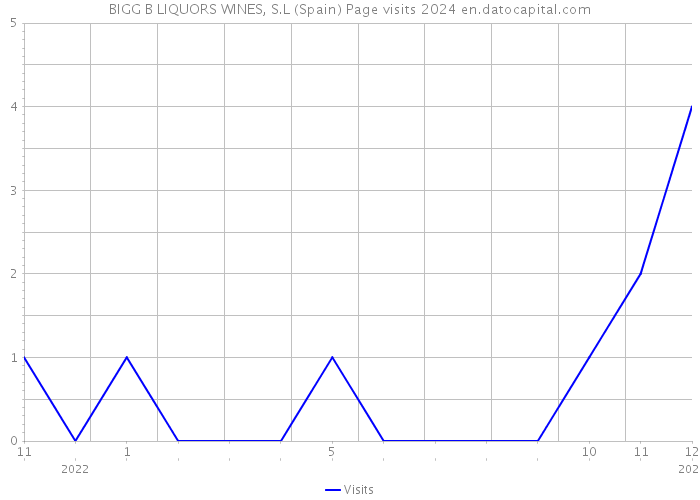 BIGG B LIQUORS WINES, S.L (Spain) Page visits 2024 