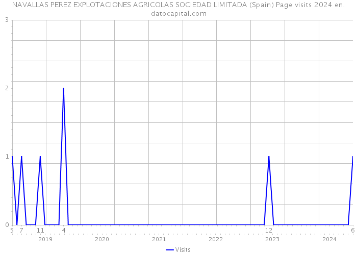 NAVALLAS PEREZ EXPLOTACIONES AGRICOLAS SOCIEDAD LIMITADA (Spain) Page visits 2024 